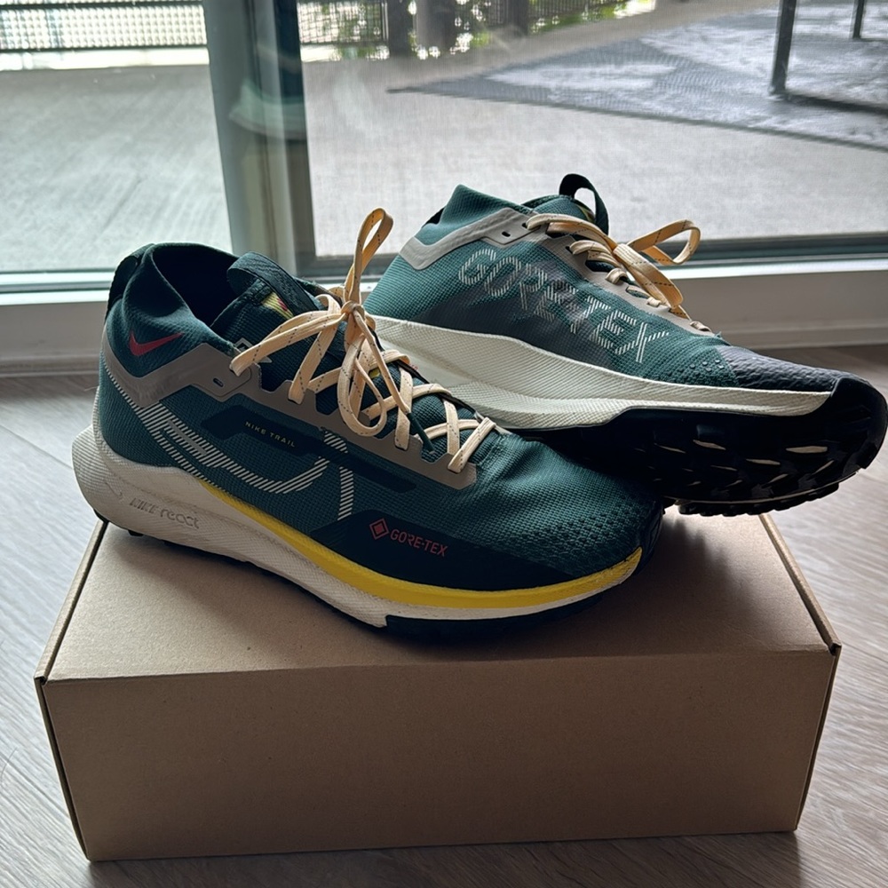 Nike Pegasus Trail 4 Goretex waterproof shoes